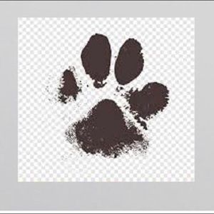 Meet your Posher, Cherry